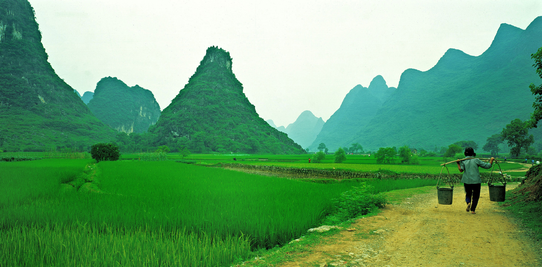China, harvest