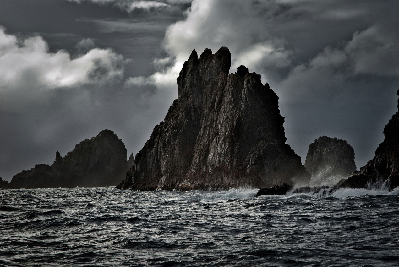 Titi Island Southland New Zealand