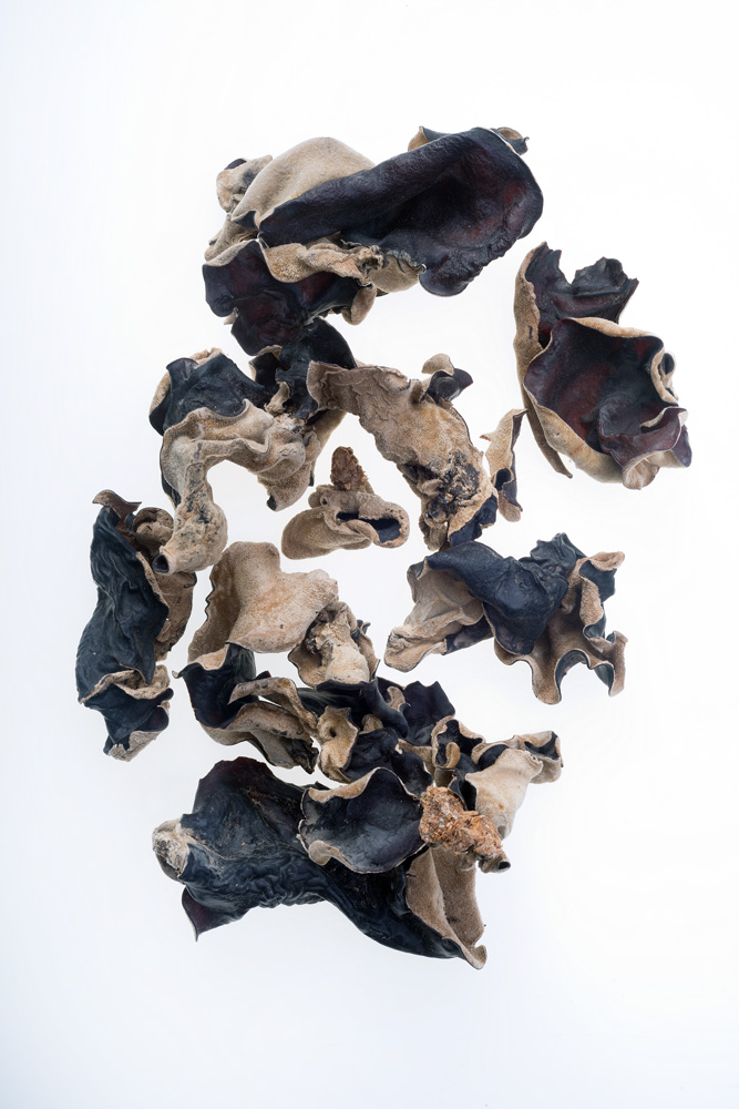 Dried Asian Mushrooms, Wood Ear Fungus