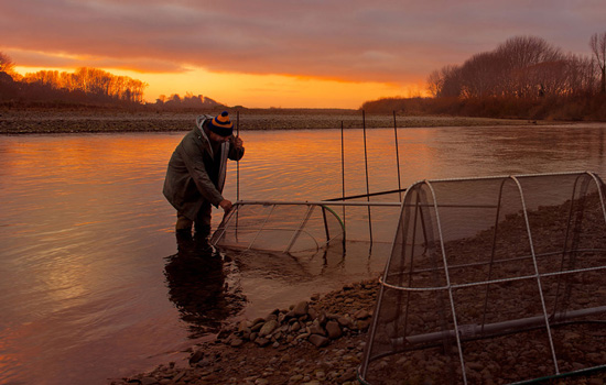 John setting his whitebait net