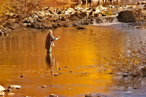 Trout fishing in Gore