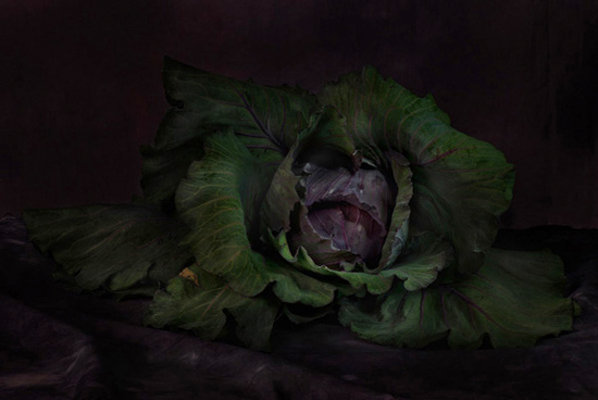 Red Cabbage